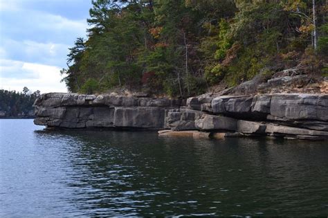 Experts advise bathing after swimming at Smith Lake | News ...