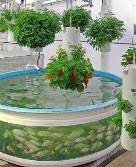 Best Healthy Life With Hydroponics Indoor Ideas: 55+ Best Inspirations ...