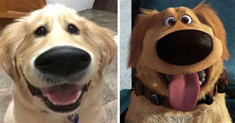 This Snapchat Filter Makes Your Dog Look Like Dug From “Up” | Bored Panda