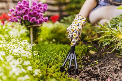 10 Gardening Tips for Beginners | BestLifeHere.com