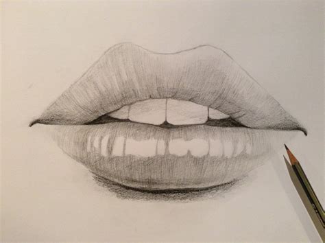 Closed Lips Drawing at GetDrawings | Free download