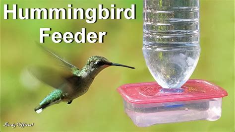 DIY Hummingbird Feeder Homemade – How To Make A Hummingbird Feeder From ...