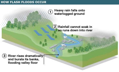 The process of floods - Tweed River Flooding