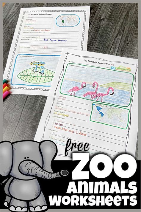 FREE Zoo Field trip Worksheet and Animal Reports | Zoo activities ...