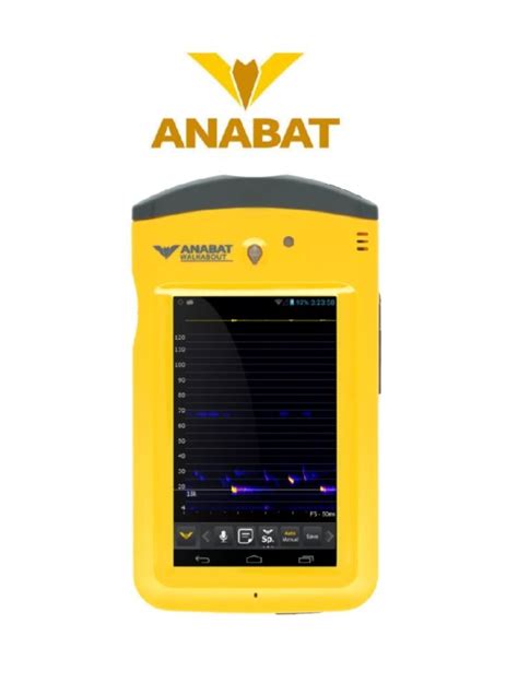 ANABAT WALKABOUT BAT DETECTOR – sunrek