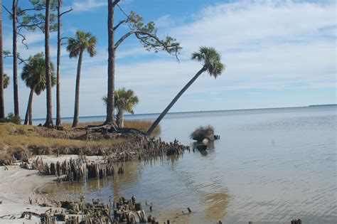 Apalachicola bay coast Apalachicola Florida, Saint George Island, God ...