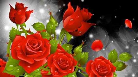 Rose Flower Wallpapers HD - Wallpaper Cave