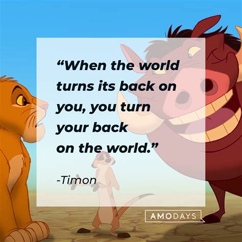 35 Timon Quotes on His Laidback Views Complete with Some Wisecracks