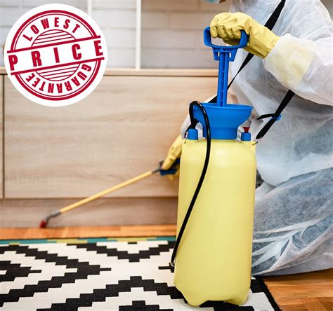 Bed Bug Exterminator Toronto - Affordable Bed Bug Heat Treatment- Bed ...