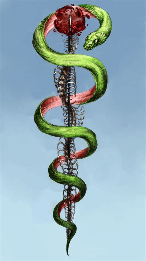 Rod of Asclepius; art, drawing, painting, skeleton, snake, anatomy ...