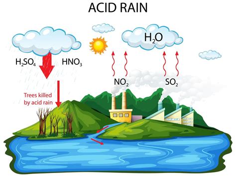 Diagram showing acid rain pathway on white background 1520150 Vector ...