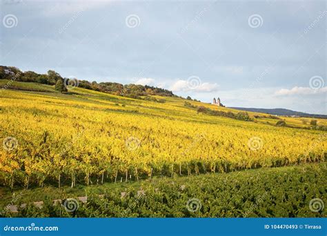 Rhine Valley with Vineyards Stock Image - Image of clouds, summer ...