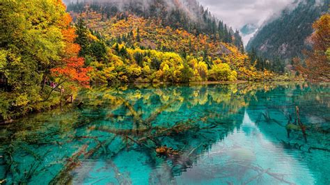 Jiuzhaigou 九寨沟 The Nine Village Valley | Nature photography, Nature ...