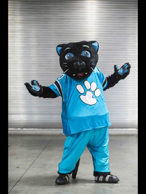 Carolina Panthers | Carolina panthers, Panthers, Mascot