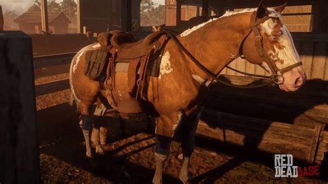 Hungarian Halfbred | RDR2 Horse Breeds Coats, Locations & Stats