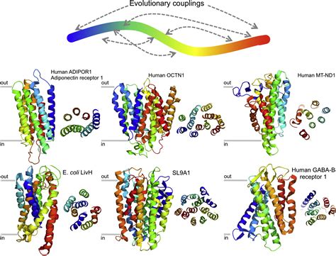 Three-Dimensional Structures of Membrane Proteins from Genomic ...