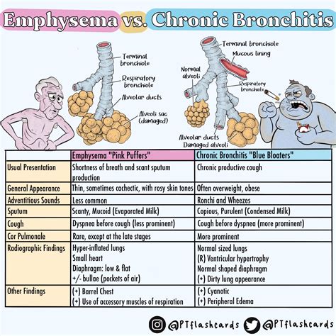 COPD: Emphysema vs. Chronic Bronchitis Nursing School Info, Nursing ...