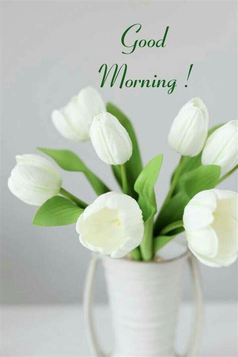 Good morning beautiful images | Tulips flowers, Tulips arrangement ...