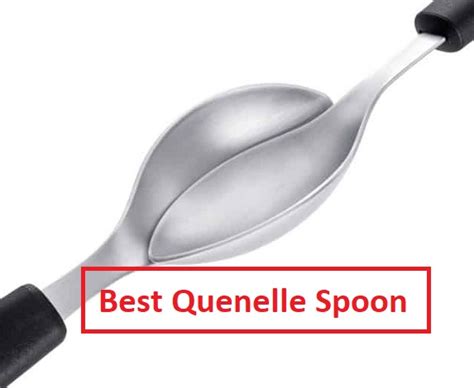 What are The Best Quenelle Spoon on Amazon? - Fast Food Justice