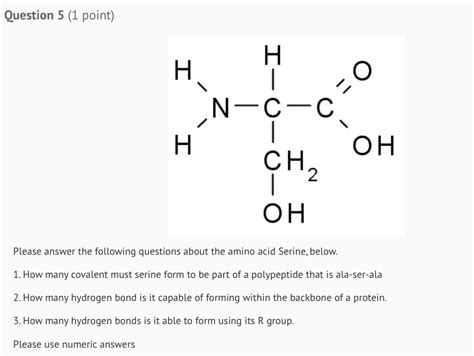 Solved The following questions about the amino acid | Chegg.com