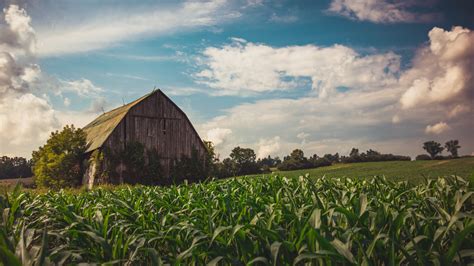 Old Barn in Corn Field | Quebec Photo Spot - PIXEO