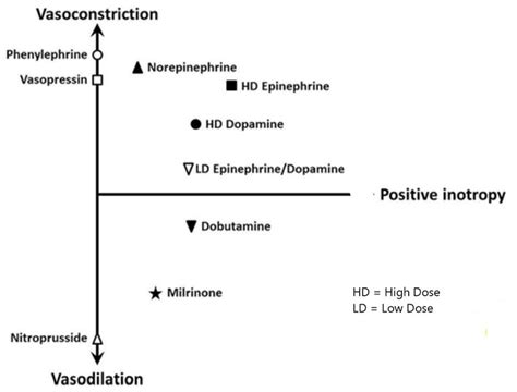 Vascular response to vasopressors and inotropic medications. Adapted ...