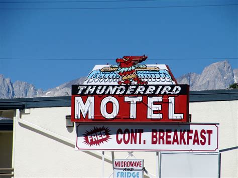 Thunderbird Motel 2 | Thunderbird motel, Thunderbird, Motel