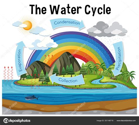 Diagram Showing Water Cycle Rainfall Ocean Illustration Stock Vector ...