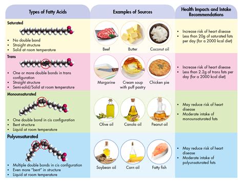 Different Types of Dietary Fats and Health