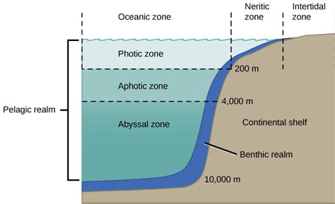 3.4 Aquatic Biomes | Environmental Biology