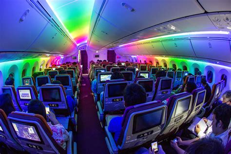 The 10 Best Airline Economy Classes - Hopper