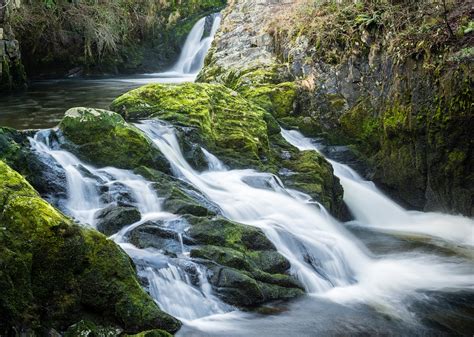 Discover Fraser River Trail in Winter Park, Colorado | Winter Park Escapes