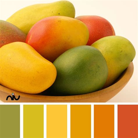 Mango Color Palette | Chameleon color, Color palette design, Kitchen ...