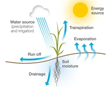 Water and soils | AHDB