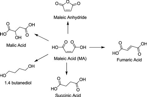 Maleic Anhydride To Maleic Acid