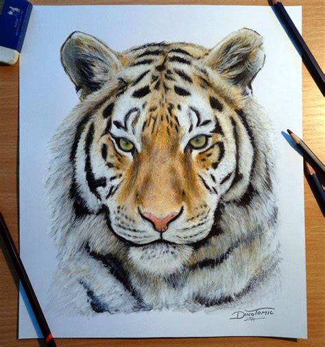 25 Beautiful and Realistic Animal Drawings around the world | Read full ...