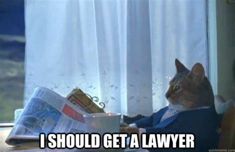 I Should get a lawyer - Sophisticated Cat - quickmeme