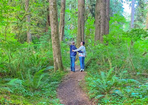 16 of the Best Oregon Hiking Trails for a Lifetime of Adventures ...