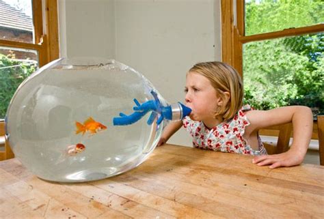 27 geekiest (and weirdest) fish tanks | DVICE | Cool fish tanks, Unique ...