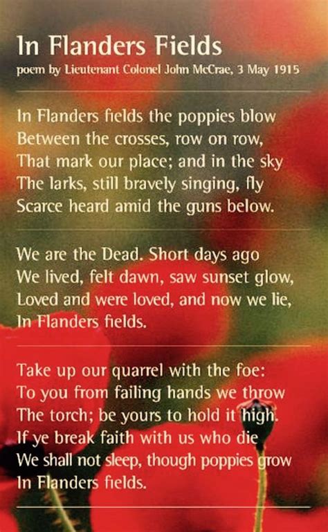 the poem in flanders's fields by john mccraer is shown with red flowers