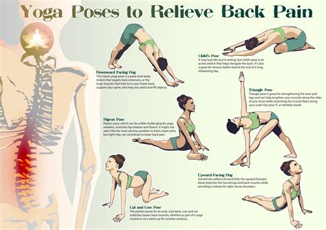 How to relieve back pain: 6 best yoga poses - Eco Health Lab