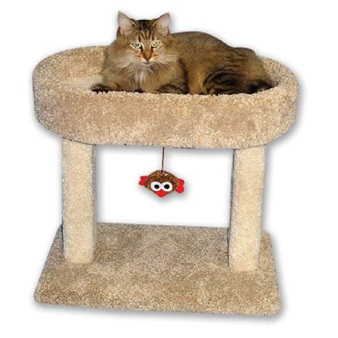 Beatrise Kitty 21 in. Oval Cozy Perch Cat Tree - Walmart.com