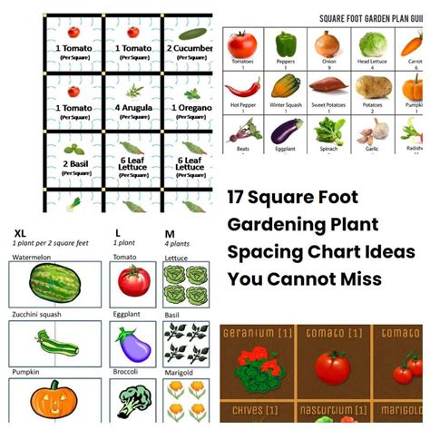 17 Square Foot Gardening Plant Spacing Chart Ideas You Cannot Miss ...