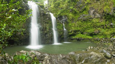 Hana Reverse Full loop tour and Hana Jungle Tour — Local Maui Tour