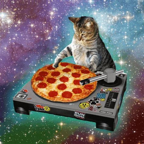 Cat Space GIF - Find & Share on GIPHY