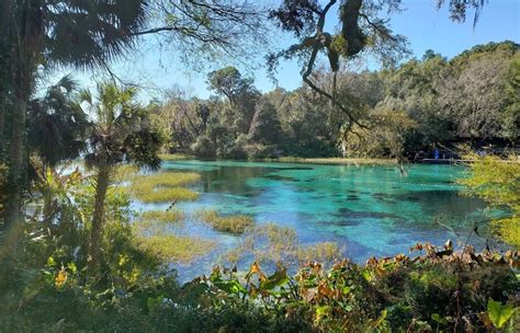 Rainbow Springs State Park - Go Wandering