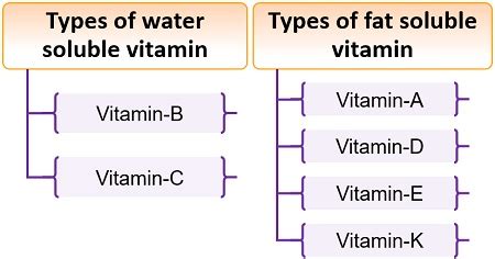 Fat And Water Soluble Vitamins Chart