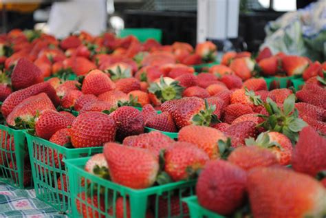 Strawberries, Strawberries, Strawberries - dineSarasota