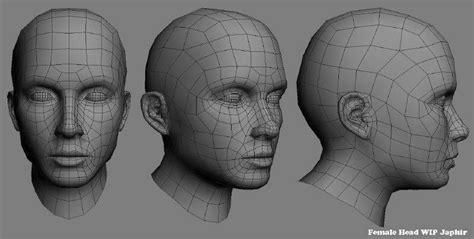 Human Face Reference For 3D Modeling