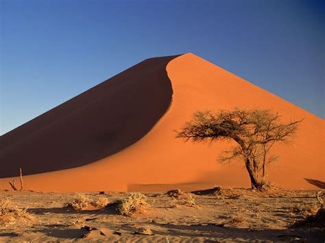 The Namib Desert